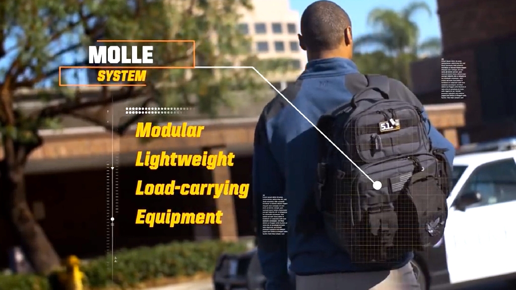 What is MOLLE?