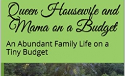 Queen Housewife and Mama on a Budget by Kate Singh