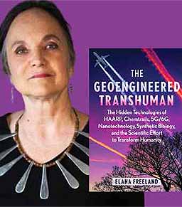 Elana Freeland, MA